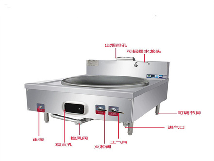 燃?xì)獯箦佋? />
              <div   id=